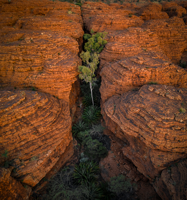 Photograph taken by Jake Wilton
